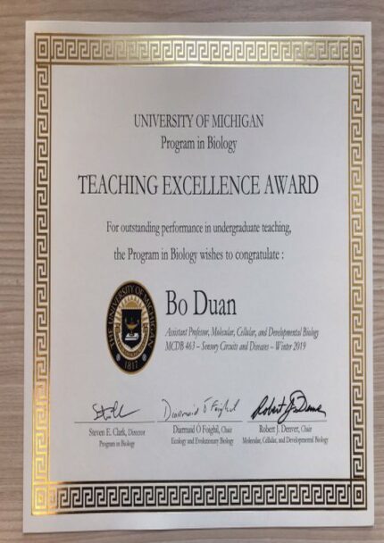 Buy college degree from The University of Michigan
